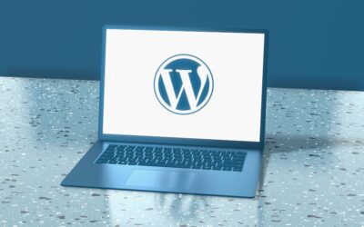 Securing Your Website: A Guide for WordPress Users